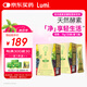 Lumi凈酵素綜合蔬果發(fā)酵粉（固體飲料）（15g×20支/盒）*2盒