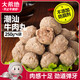 大希地潮汕牛肉丸250g*4 火鍋食材關(guān)東煮丸子燒烤空氣炸鍋麻辣燙