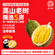欽小鮮貓山王榴蓮D197馬來西亞正宗進口整果液氮冷凍新鮮水果節(jié)日送禮 【4.5-5斤】AA級精品果可開4-5房