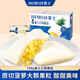 豪士面包菠蘿口袋夾心750g 早餐面包休閑零食乳酸菌代餐食品