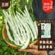 北蔬 九粒白蕓豆種子種苗豆角架豆蔬菜種籽 北蔬摘不敗九粒白種子100g