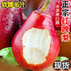 喜季新鮮山西紅啤梨香甜軟糯多汁應(yīng)季水果紅寶石正宗啤酒軟梨子現(xiàn)摘 凈重5斤【精選特大果】