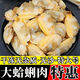 柒島無沙花蛤肉500g新鮮冷凍速凍煮花甲肉蛤蜊肉黃蜆子肉海鮮水產(chǎn)商用 無沙花蛤肉 500g 【250g/包】
