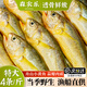 森農(nóng)樂小黃魚生鮮黃花魚舟山野生鮮活冷凍海魚正宗深海冰鮮燒烤商用新鮮 7-8條/斤【凈重3斤 味美鮮嫩】