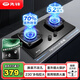 先鋒（SINGFUN） 燃?xì)庠畛患?jí)能效70%高熱效率家用雙灶天然氣液化氣煤氣大火力灶具臺(tái)嵌兩用猛火爐灶 天然氣|納米易潔款 R201