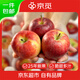 京覓沂蒙山魯麗蘋果 凈重4.5斤12-17個(gè) 脆甜多汁 源頭直發(fā) 包郵 