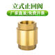 天琪豪（TIANQIHAO）立式止回閥 加厚彈簧單向閥銅桿逆止閥水管 DN20(6分) 一個(gè)價(jià)