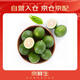 京鮮生 海南大青檸/青檸檬 8粒 單果約70-100g  生鮮水果
