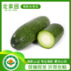 北菜園 有機長冬瓜 約500-600g 有機新鮮蔬菜 冬瓜 節(jié)瓜 火鍋食材