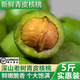 2025大涼山去青皮新鮮濕核桃薄殼孕婦零食非紙皮核桃應(yīng)季補(bǔ)腦鮮果 3斤 帶青皮核桃