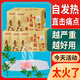 暖姬艾灸貼發(fā)熱貼艾草腰椎頸椎古方艾炙官方旗艦正品肩頸宮暖熱敷蘄艾 5盒/100片裝 艾灸貼