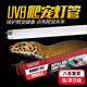 茨格曼蘆丁雞飼養箱專(zhuān)用燈泡小寵爬寵異寵孵化箱補UV燈泡燈管 孵化飼養箱 -專(zhuān)用燈管*1根