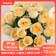 京東鮮花產(chǎn)地倉嚴選云南基地鮮花直發(fā)無(wú)土香檳玫瑰買(mǎi)10枝送10枝生活鮮花