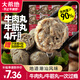 大希地潮汕牛肉丸+牛筋丸雙拼250g*8袋共4斤 肉含量90% 贈沙茶醬蒜酥