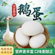 我老家 新鮮生鵝蛋 農(nóng)家散養(yǎng)大鵝蛋 孕婦寶寶營(yíng)養(yǎng)輔食鮮鵝蛋 12枚裝 單枚120-140g