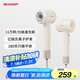 夏普家用高速吹風機 大功率速干電吹風低噪音吹風筒等離子護發(fā)IB-RP45C-P奶茶色 【520禮物】