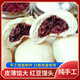 豆沙包紅豆?fàn)I養(yǎng)早餐代餐懶人半成品速食冷凍面點(diǎn)加熱即食饅頭包子 豆沙包40個