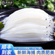 尚致銀魚(yú)新鮮鮮活冷凍面條魚(yú)小銀魚(yú)生鮮銀魚(yú)仔白飯魚(yú)大銀魚(yú)無(wú)刺 1000g【8-10cm大銀魚(yú)】