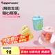 特百惠（Tupperware）迷你纖巧壺350ml3件套自制果飲咖啡男女學(xué)生夏季冷水壺飲料水杯子