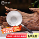 歸銀堂金魚純銀999茶漏手工功夫茶具配件足銀茶葉過濾器檀木把手銀茶濾 茶漏足銀+證書+禮盒