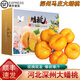 桃西村河北深州大蜜桃【順豐速發(fā)】馬莊水蜜桃大壽桃油蟠桃貢桃水果禮盒 蟠桃 5斤 大果【單果4-6兩】禮盒