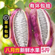大洋坪順豐現(xiàn)摘八月瓜八月炸25年新鮮水果當(dāng)季野香蕉預(yù)知子 1斤 順豐直達