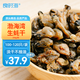 良時海 大連生蠔干 凈重250g 牡蠣干 源頭直發(fā) 煲湯煮粥海鮮干貨 