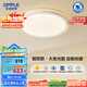 歐普（OPPLE）吸頂燈智控調(diào)光LED照明燈具全光譜智慧光圓臥包安裝 品見4白