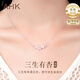 AHK銀項(xiàng)鏈女生吊墜鎖骨鏈氣質(zhì)時(shí)尚百搭七夕情人節(jié)禮物送女朋友老婆 精致小銀杏項(xiàng)鏈+精美禮盒
