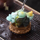 系顏家用變色噴水貔貅茶寵擺件精品可養(yǎng)茶桌茶玩茶蟲裝飾擺設(shè) 時(shí)來(lái)運(yùn)轉(zhuǎn)-噴水貔貅-變玉色+禮盒