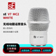 sE V7 MC1 MC2無(wú)線(xiàn)動(dòng)圈麥克風(fēng)話(huà)筒頭專(zhuān)業(yè)錄音舞臺演出超心形可接發(fā)射器 sE V7 MC2 WHITE（兼容森海塞爾）