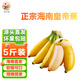 海南皇帝蕉 新鮮香蕉自然熟當季水果 現(xiàn)摘現(xiàn)發(fā)香味濃郁 5斤（凈重4.5-5斤）