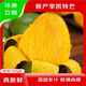 集年鮮攀枝花凱特芒果 整箱熱帶甜心應(yīng)季時(shí)令新鮮現(xiàn)摘生鮮水果 凈重4.5斤優(yōu)選（單果300g+）