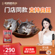 張奶奶 大連冷凍即食海參禮盒非干貨天然遼刺參高品質(zhì)海鮮無(wú)污染 即食海參 500g 【10-12頭】1斤裝 體壁厚實(shí) Q軟彈牙