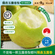 隰縣玉露香梨 【順豐】整箱香梨當季水果山西隰縣小西天特產(chǎn) 孕婦水果送禮 9粒梨王（凈重約9斤）單果100+mm