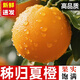 黃六爺新鮮夏橙倫晚夏橙當(dāng)現(xiàn)季新鮮水果柑橘冰糖果凍橙春橙愛媛整箱包郵 3斤【新鮮速發(fā)】香甜多汁 50-60mm 小果【超甜多汁】