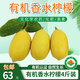 彩虹雨 云南無籽有機(jī)香水黃檸檬4斤裝 有機(jī)水果酸度適中 果皮清香