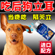 狗狗立耳神器鈣片軟骨素小狗狗補鈣德牧杜賓雪納瑞黑狼立耳輔助器 1瓶】狗狗立耳鈣片