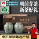 豫貢信陽毛尖2025年新茶250g頭采明前嫩芽茶葉禮盒特級綠茶伴手禮冷泡