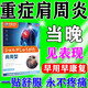 秋雅奈緒肩周炎貼膏肩膀疼痛貼肩周勞損抬不起胳用什么藥專用貼膏日本進口 特效膏1盒裝【日本進口】