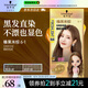 施華蔻（Schwarzkopf）斐絲麗黑發(fā)直染染發(fā)霜6-1榛果米棕 染發(fā)劑染發(fā)膏潮流色 免漂彩染