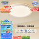歐普（OPPLE）48瓦吸頂燈客廳臥室燈簡(jiǎn)約護(hù)眼智控調(diào)光LED燈具18㎡品見(jiàn)III包安裝