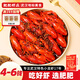 肥肥蝦莊6-8錢(qián)油燜/蒜蓉小龍蝦整蝦冷凍生鮮加熱即食 4-6錢(qián) 麻辣 620g*3盒