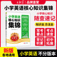 【現(xiàn)貨速發(fā)】王朝霞小學核心知識集錦語文數(shù)學英語基礎知識大盤點一二三四五六年級小學知識大全考試總復習小升初銜接工具書 英語