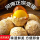 脆樂(lè )淘正宗河南特產(chǎn)雞蛋變蛋無(wú)鉛整箱溏心皮蛋松花蛋鵪鶉蛋手工傳統 變蛋50g*40枚