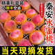 大洋坪正宗天水秦安蜜桃孕婦桃現(xiàn)摘甘肅水蜜桃北京七號(hào)禮盒裝順豐空運(yùn) 9顆 中果 單果250-300g