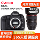 佳能 Canon 5D Mark IV單機(jī)5D2 5D3 5D4 6D 6D2全畫幅二手單反相機(jī) 佳能5D3+24-105mmF4一代套機(jī) 95新