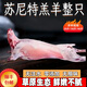翰鷗斐內蒙特產正宗草原散養(yǎng)蘇尼特羔羊整羊羊腿羊排生鮮全羊整只禮盒裝 20斤全羊整只蘇尼特羔羊