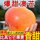 【商超品質(zhì)】新鮮澳芒蘋果芒正宗新鮮現(xiàn)摘現(xiàn)發(fā)當(dāng)季水果整箱批發(fā) 9斤 精選裝【大果300g+】
