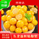 京地達(dá)東北特產(chǎn)新鮮菇娘果凈重2斤單果3g起燈籠果黃姑娘果源頭直發(fā)包郵